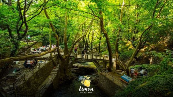 limon-pansiyon-apart-burhaniye-ayazma-tabiat-parki-gezi-rehberi-1