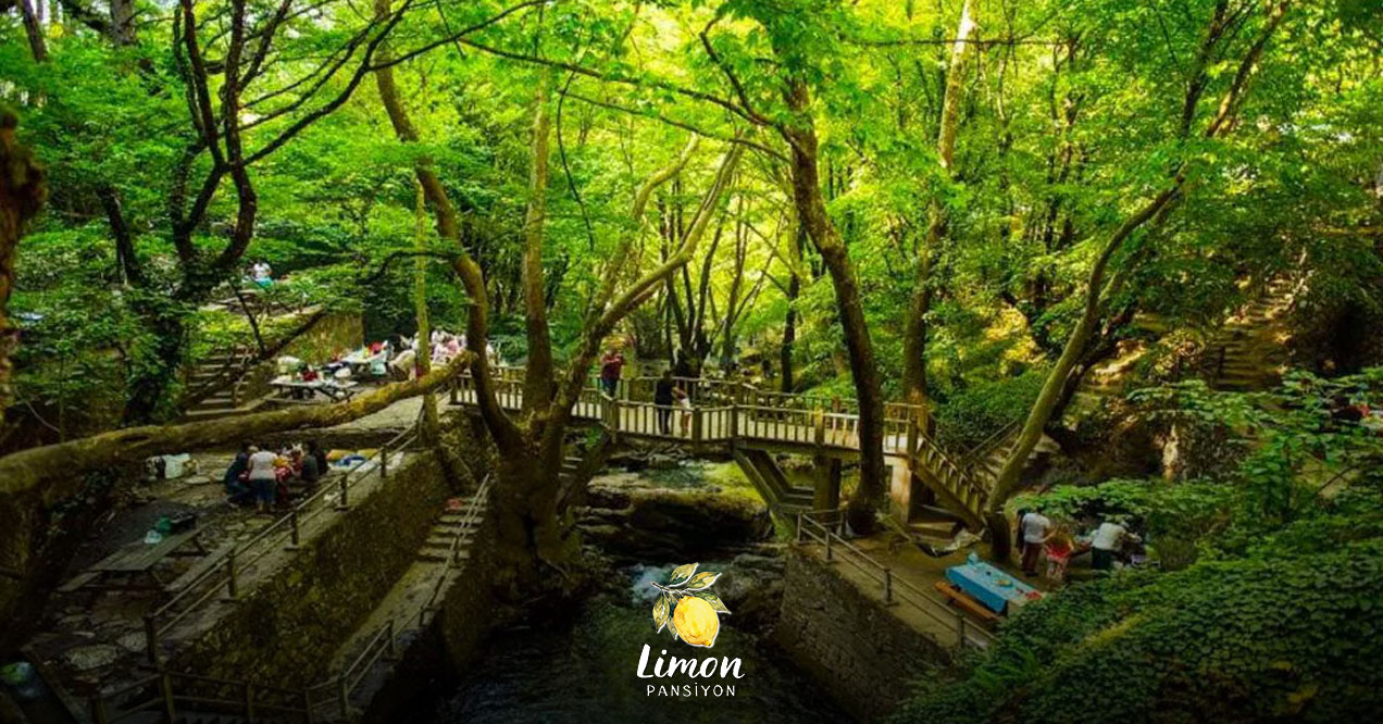 limon-pansiyon-apart-burhaniye-ayazma-tabiat-parki-gezi-rehberi-1