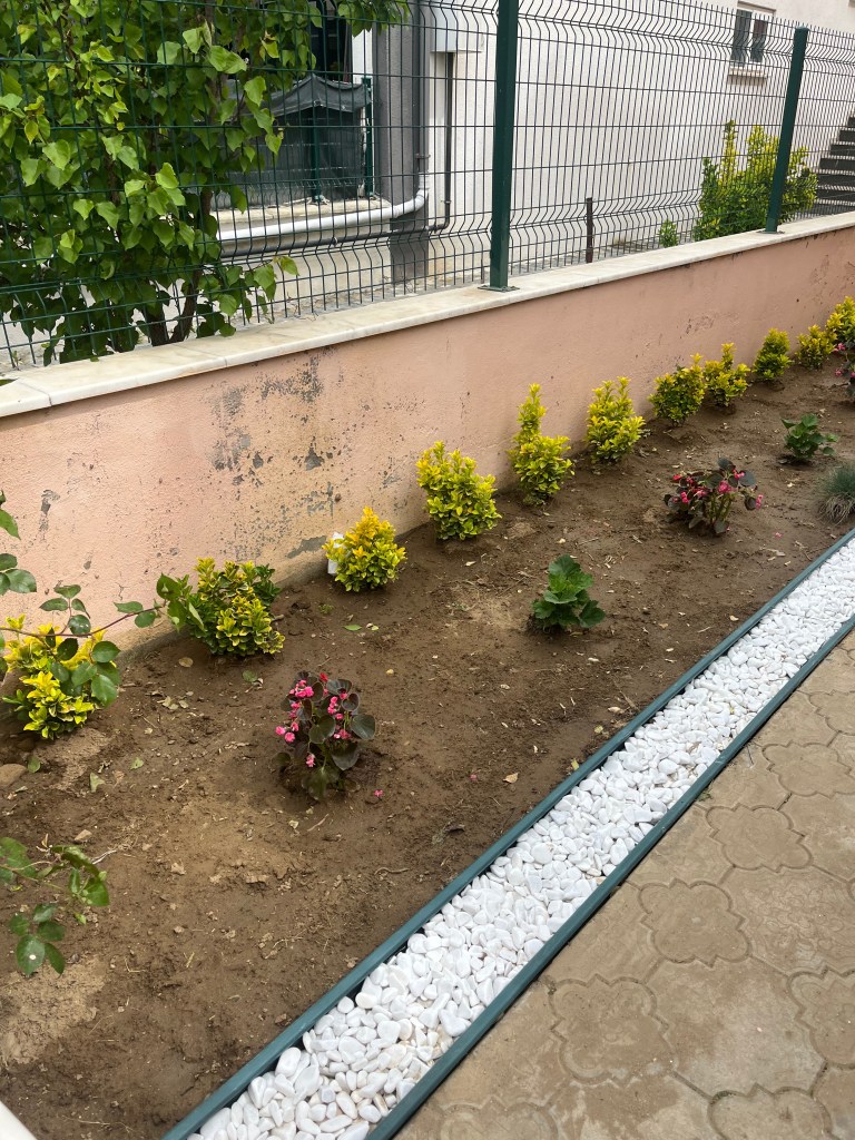 A garden bed featuring small flowering plants and shrubs in a row, with a border of white decorative stones along one side and a pink wall in the background.