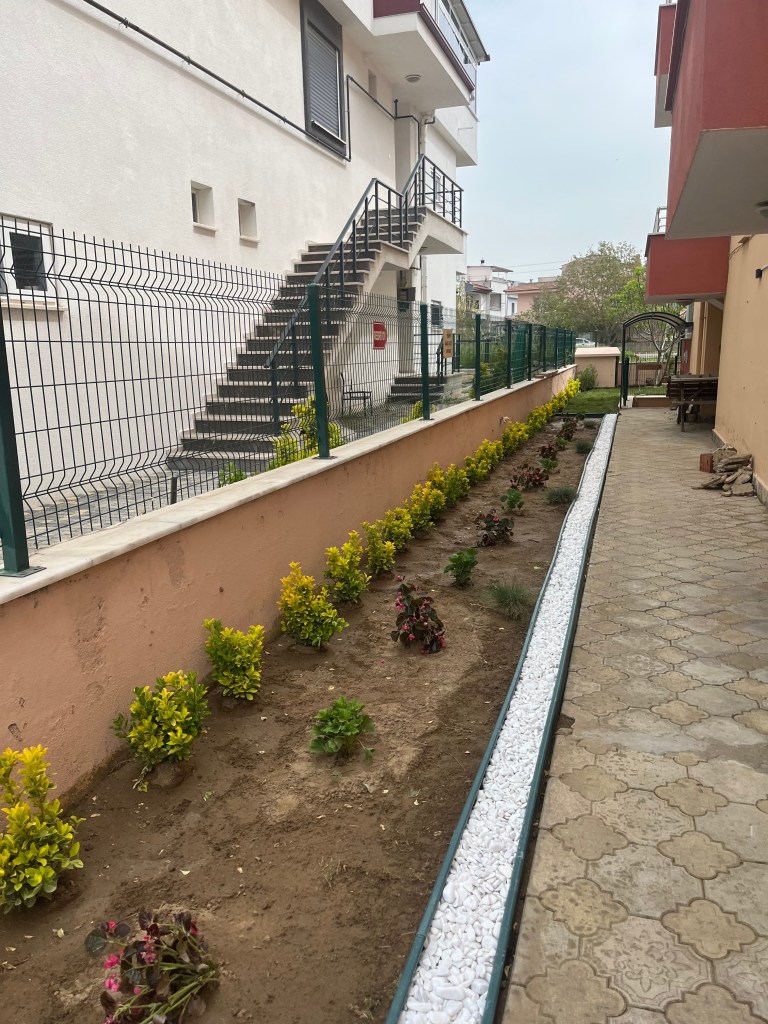 View of a landscaped pathway beside a building with newly planted shrubs and decorative stones.